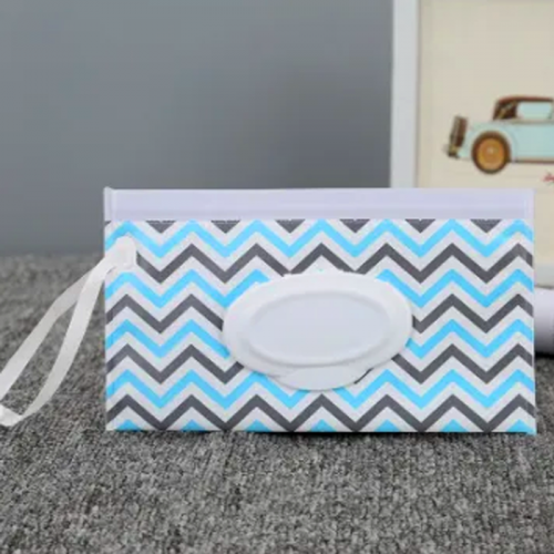 9687_case for wipes blue stripes